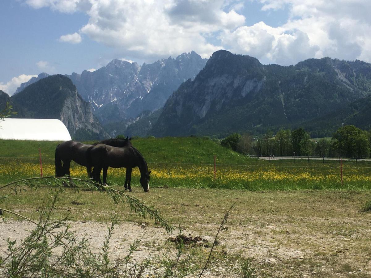 Wengerwirt Zur Laube Bed & Breakfast Weng im Gesause Exterior photo