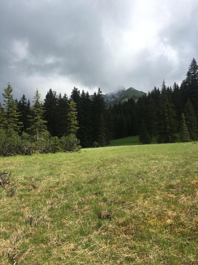 Wengerwirt Zur Laube Bed & Breakfast Weng im Gesause Exterior photo