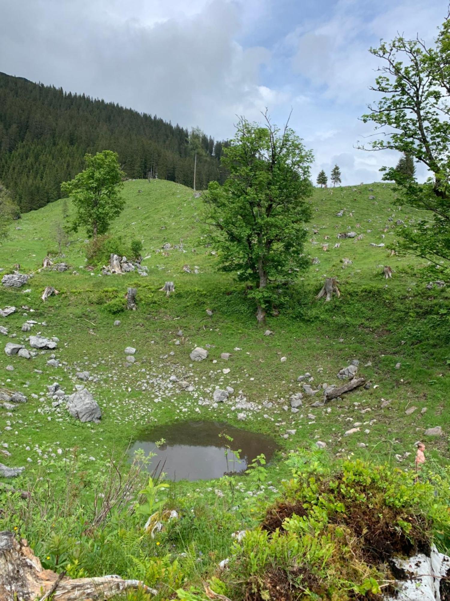 Wengerwirt Zur Laube Bed & Breakfast Weng im Gesause Exterior photo